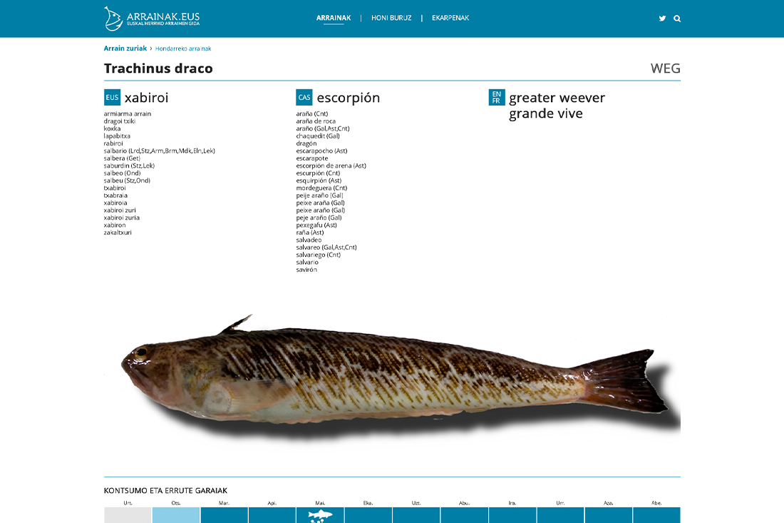 Arrain fitxaren bista. Vista de ficha de pescado.