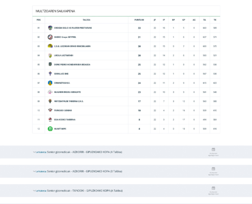 Federazioaren webguneko sailkapen orrialdearen bista. Vista de la página de clasificaciones de la web de la Federación.