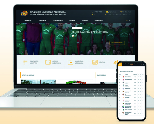 Gipuzkoako Saskibaloi Federazioaren webgunearen aurrebista irudia. Vista previa de la web de la Federación Guipuzcoana de Baloncesto.