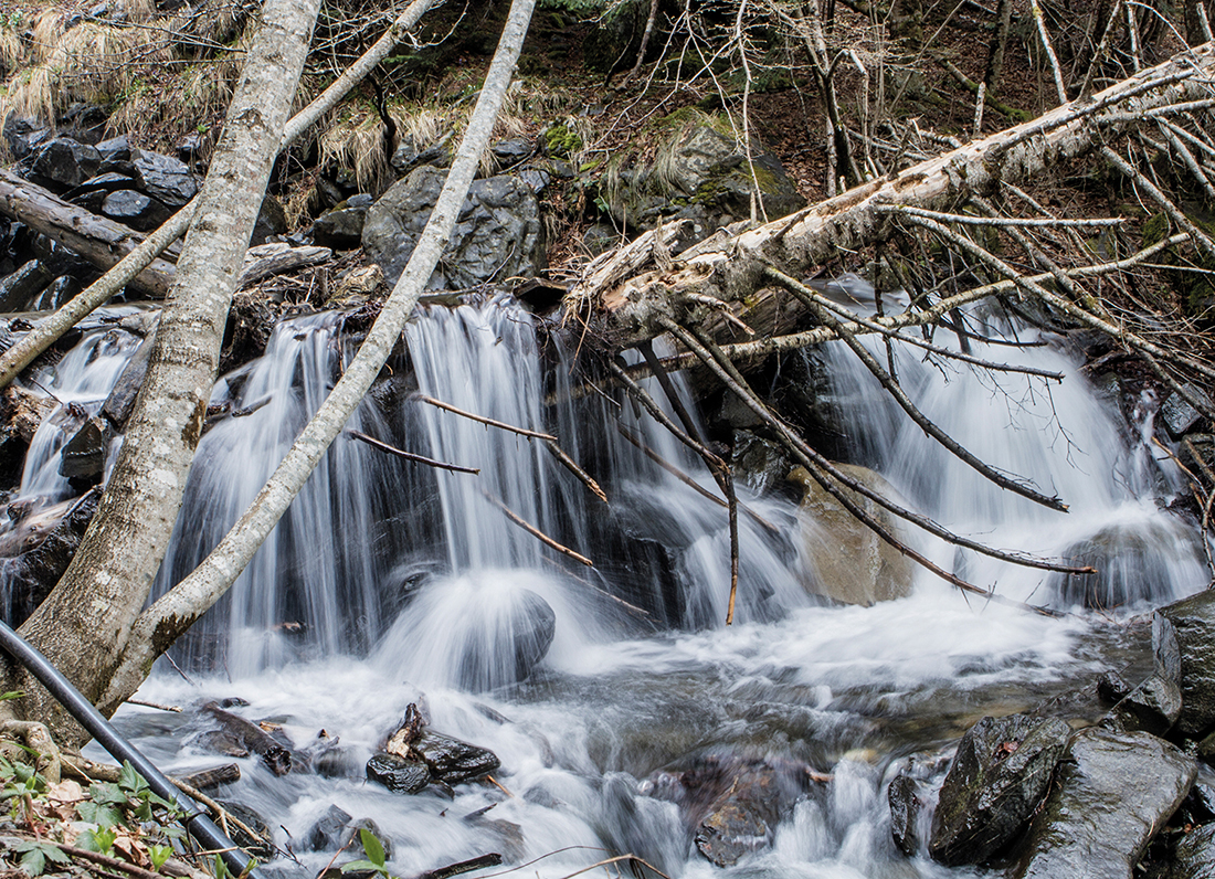 Ur jauzia mugimenduan. Cascada en movimiento.